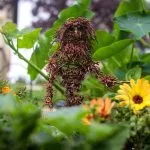 Big Foot sculpture in the garden by Jake Vanderwerf