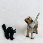 A photo of the sculpture "Cats" by Shelly Leroux